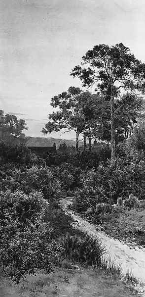 A Cottage in a wooded Landscape at Sunset - view 1