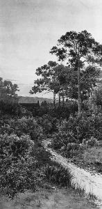 A Cottage in a wooded Landscape at Sunset by Henri Tebbitt