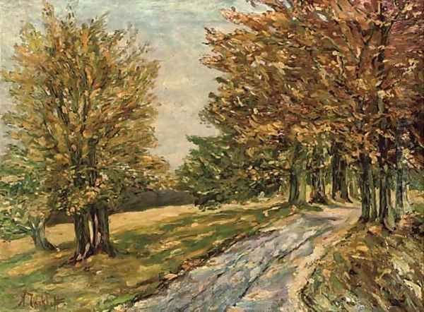 An Autumnal path - view 1