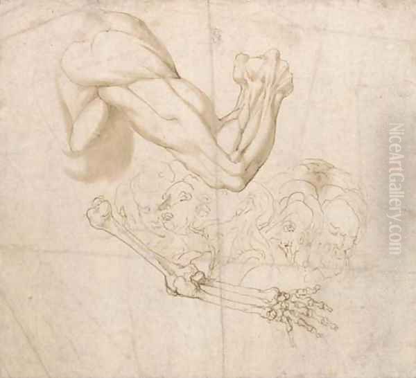 A shoulder and right arm and studies of the bones of the right arm and of five heads - view 1