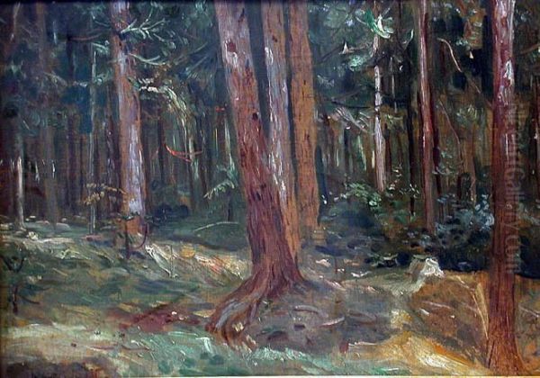 Lesne Ostepy, 1937 R. - view 1