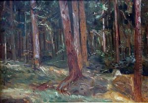 Lesne Ostepy, 1937 R. by Wincenty Wodzinowski