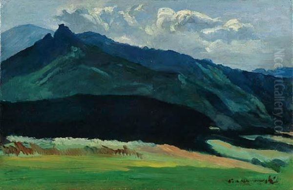 Widok Tatr - view 1