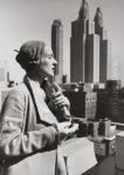 Auf Einem Penthouse In New York - view 1