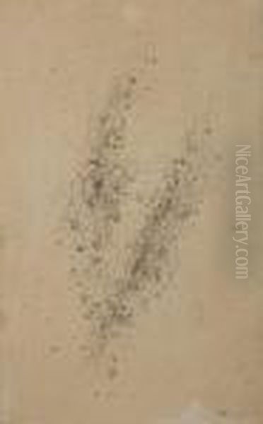 Autre Nebuleuse - view 1