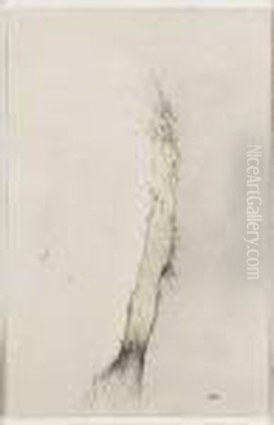 Composition - view 1