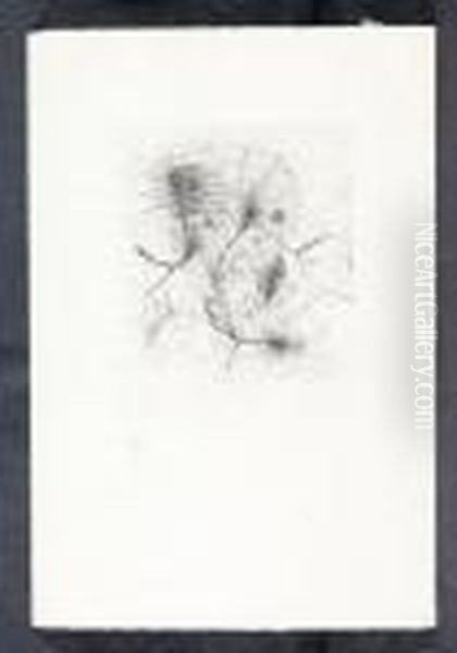 Composition - view 1