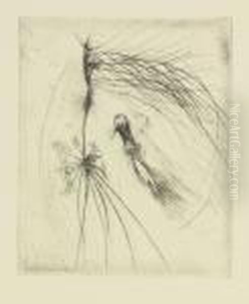 Distel - view 1