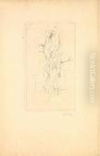Schlieren - view 1