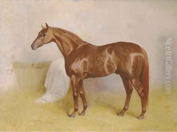 Charibert, a chestnut racehorse in a stable - view 1