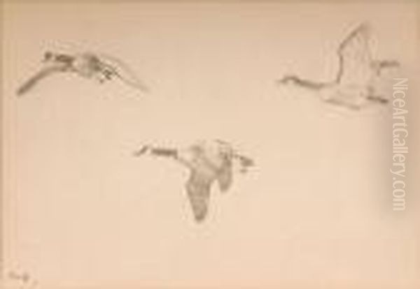 Geese In Flight - view 1