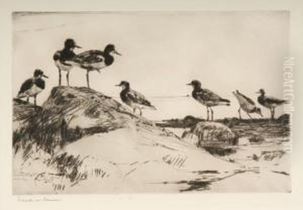 Study Of Turnstones - view 1