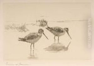 Pair Of Snipe by Frank Watson Wood