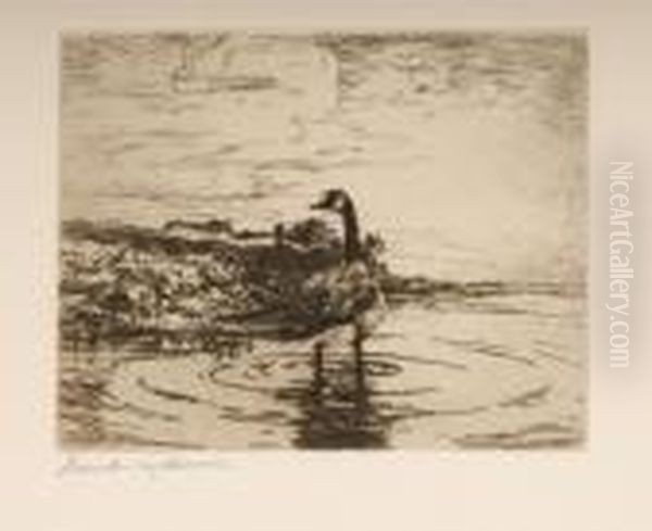 Canada Goose - view 1