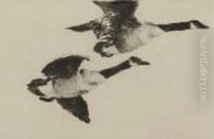 A Study Of Geese by Frank Watson Wood
