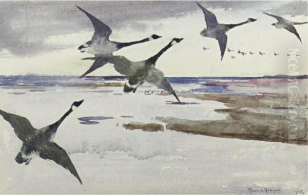 Canadian Geese - view 1