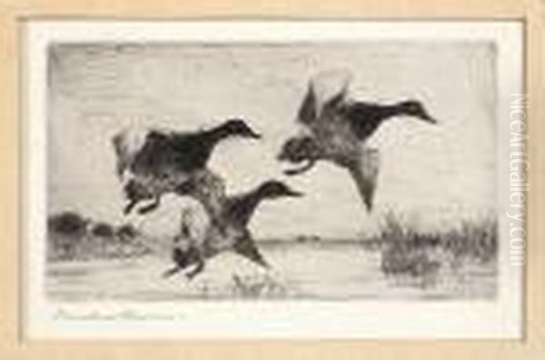 W. Benson : Taking Off - view 1