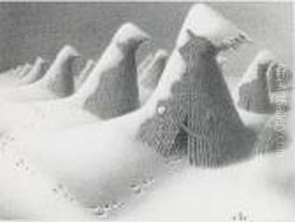 January - view 1