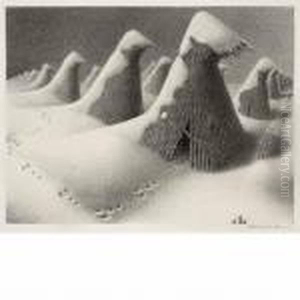 January - view 1