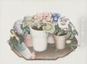 Tame Flowers
