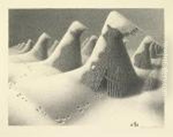January. - view 1