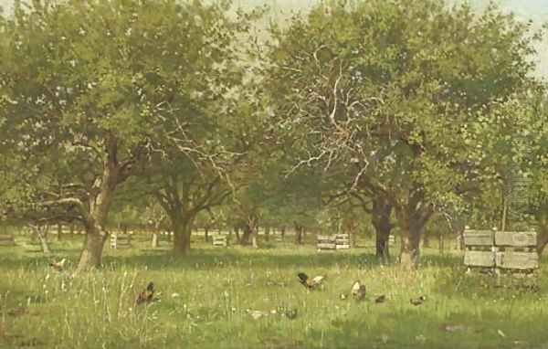 Chickens in an orchard - view 1