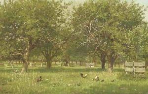 Chickens in an orchard by Willem De Famars Testas