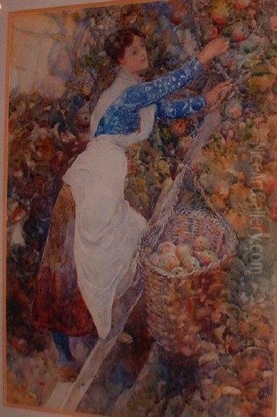 Ayoung Woman Picking Apples - view 1