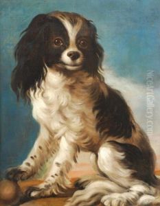 Study Of A King Charles Spaniel