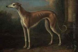 A Greyhound In A Landscape