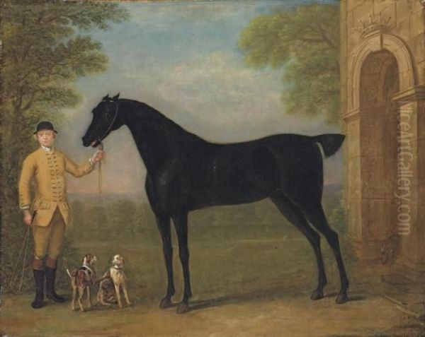 A Dark Bay Racehorse Held By A Jockey - view 1