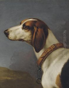 Head Of A Hound by John Wootton
