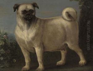 A Pug In A Landscape