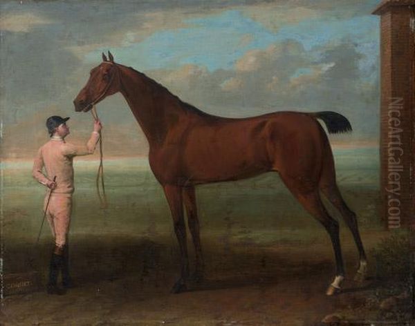 Coquette, A Bay Mare, Held By A Groom - view 1