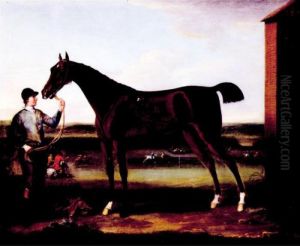 Lord Portmore's Victorious Held By A Groom At Newmarket