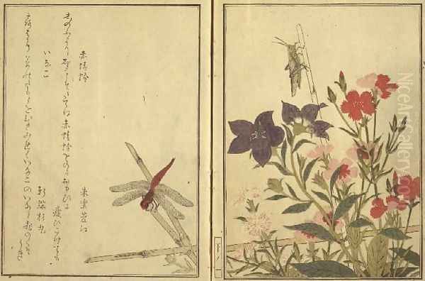 Chinese ballon flower and reptiles and flowers, from an illustrated book on flowers, insects and reptiles - view 1