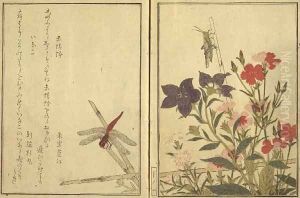 Chinese ballon flower and reptiles and flowers, from an illustrated book on flowers, insects and reptiles by Kitagawa Utamaro