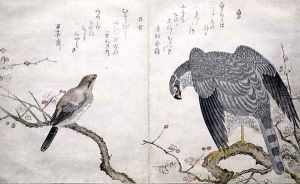 Falcon on the right, a Bull-headed Shrike on the left, from an album Birds compared in Humorous Songs, 1791 by Kitagawa Utamaro