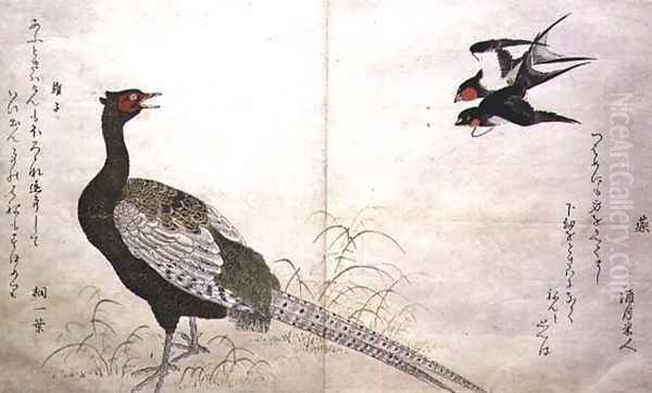 Pair of Chimney Swallows and a Green Pheasant, from an album Birds compared in Humorous Songs, 1791 - view 1