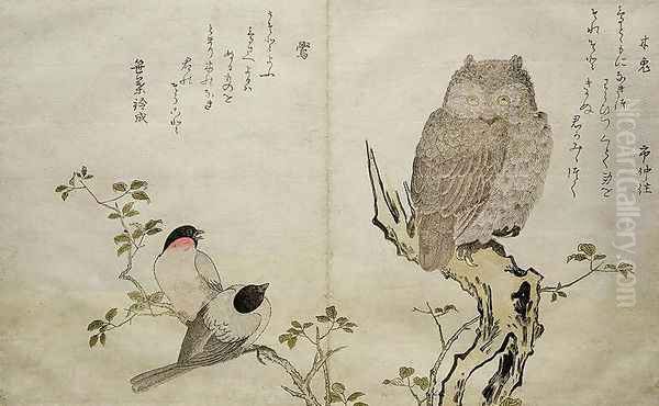 An Owl and two Eastern Bullfinches, from an album Birds compared in Humorous Songs, Contest of Poetry of the 100 and 1000 birds, 1791 - view 1