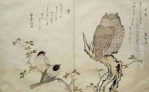 An Owl and two Eastern Bullfinches, from an album Birds compared in Humorous Songs, Contest of Poetry of the 100 and 1000 birds, 1791 by Kitagawa Utamaro