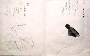 Cormorant on the right and two snowy herons on the left, from an album Birds compared in Humorous Songs, 1791 by Kitagawa Utamaro