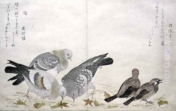Three Pigeons and two Finches, from an album 'Birds compared in Humorous Songs', 1791 - view 1