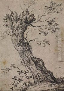 Tree Studies, A Pair by Pieter Wouwermans or Wouwerman
