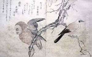 Jay on the right and an Owl on the left, from an album Birds compared in Humorous Songs, 1791