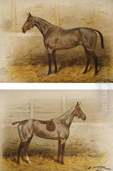 A Pair Of Stabled Thoroughbreds With Winter Clip - view 1