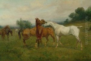 Spring Fever, Equestrian Study 
Of Grey, Chestnut And Bay Stallions And Other Horses In A Meadow