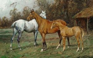 Horses In A Paddock