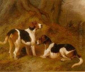 Pair, Studies Of Hunting Hounds by George Wright