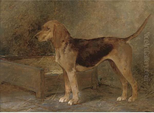 A Prize Foxhound - view 1